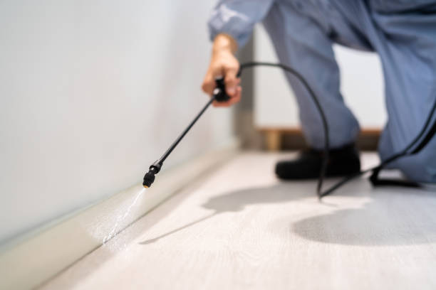 Professional exterminator conducting IPM assessment in Kings Park